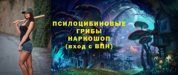 а пвп мука Алзамай